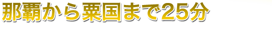 那覇から粟国まで約25分